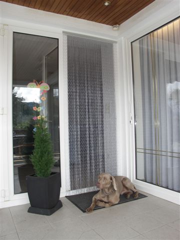 Fly and insect screens